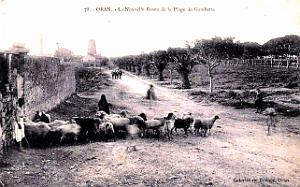 Oran-Gambetta - Nouvelle Route Plage - 1926